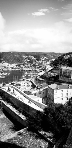 Bonifacio