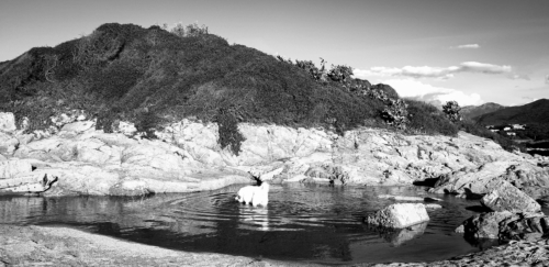 Étang de Casavone -Porticcio