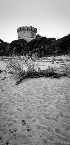 Plage du Capitello - Porticcio