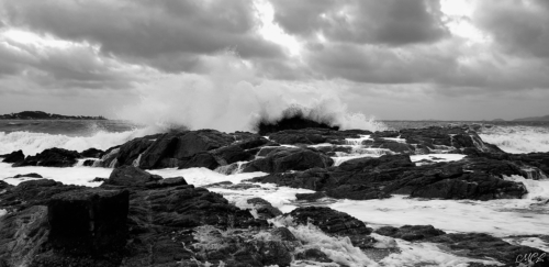Plage du Capitello - Porticcio