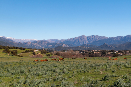 Tour du Capitello -Porticcio